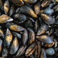 Green-Lipped Mussel Oil (wholesale)